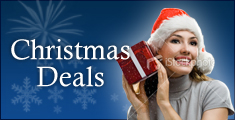 Christmas Offers